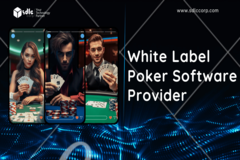 White Label Poker Software Provider